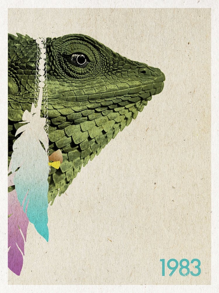 Karma Chameleon