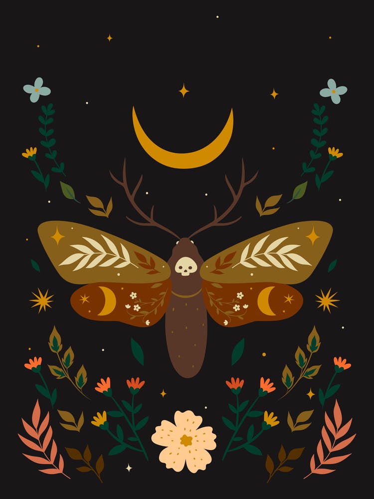 Moon Moth Scandinavian Boho