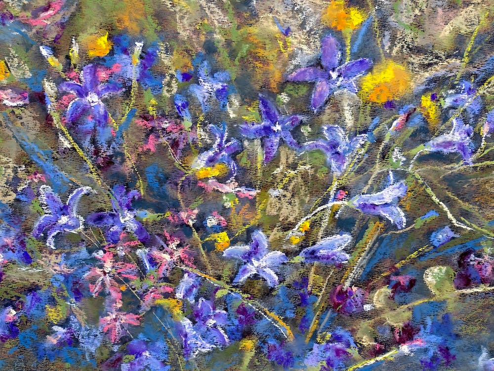 A Bouquet Of Wild Meadow Flowers