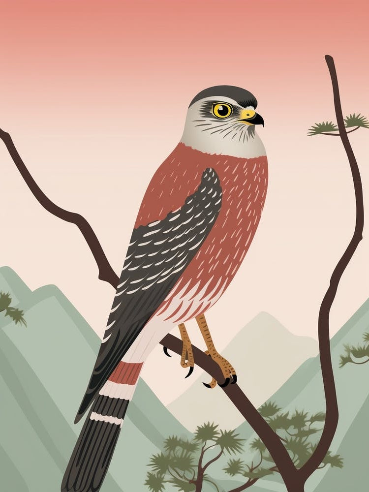 Minimalist Eurasian Sparrowhawk 2 Illustration