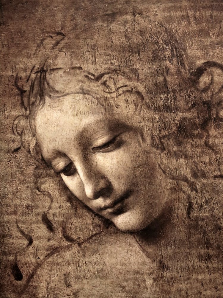 La Scapigliata, Leonardo Da Vinci