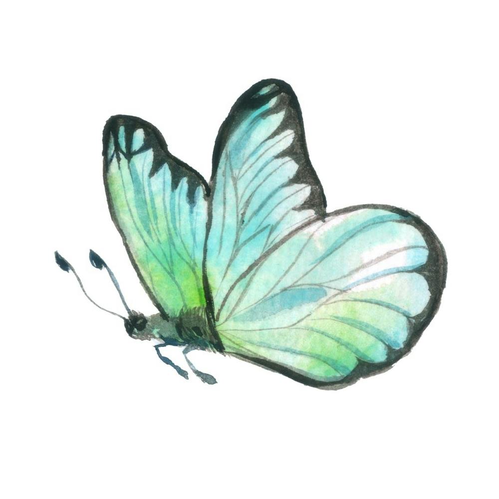 Butterfly Watercolor Painting