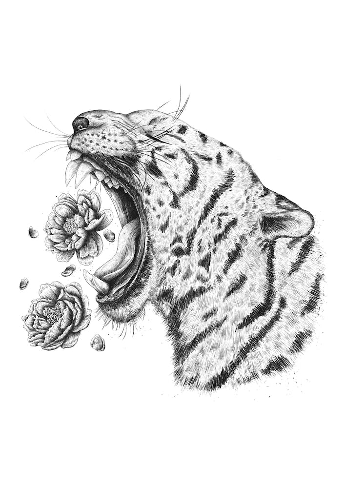 Tiger With Peonies