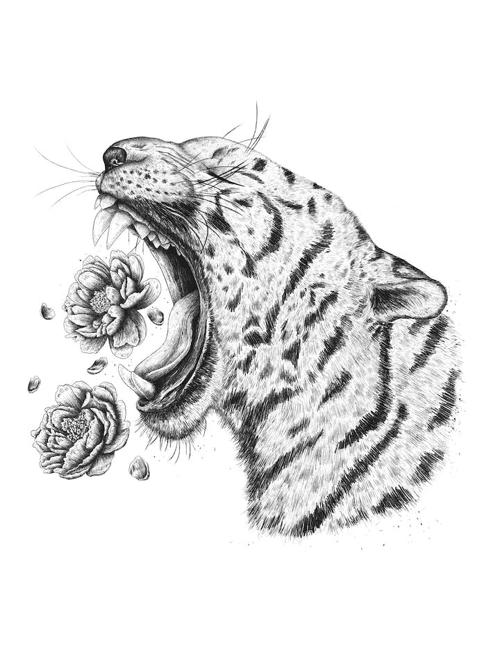 Tiger With Peonies