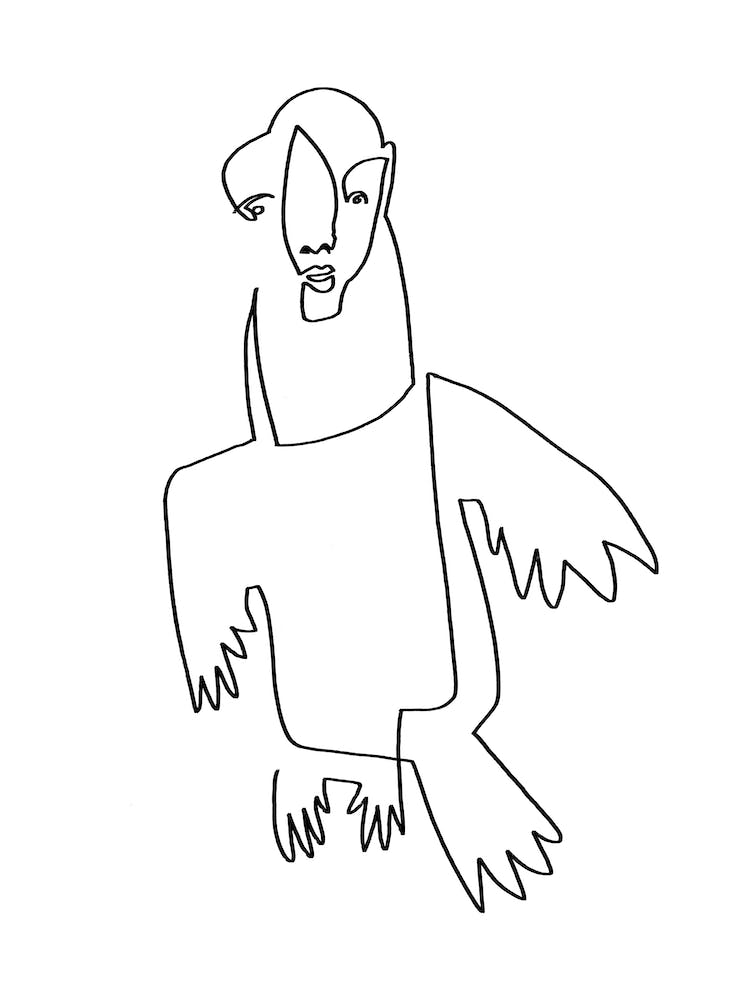 Ugly Pigeon