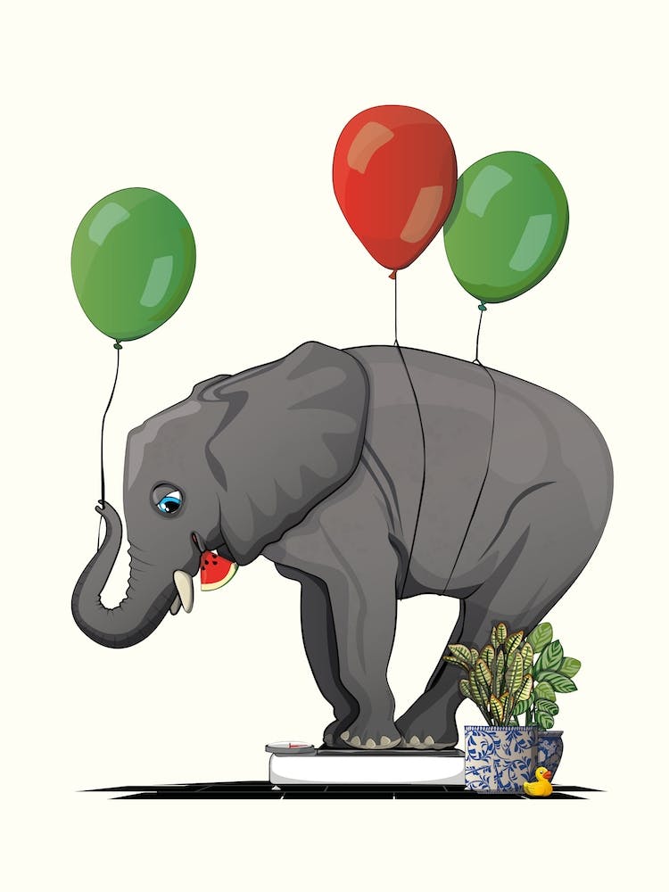 Elephant On Bathroom Scales