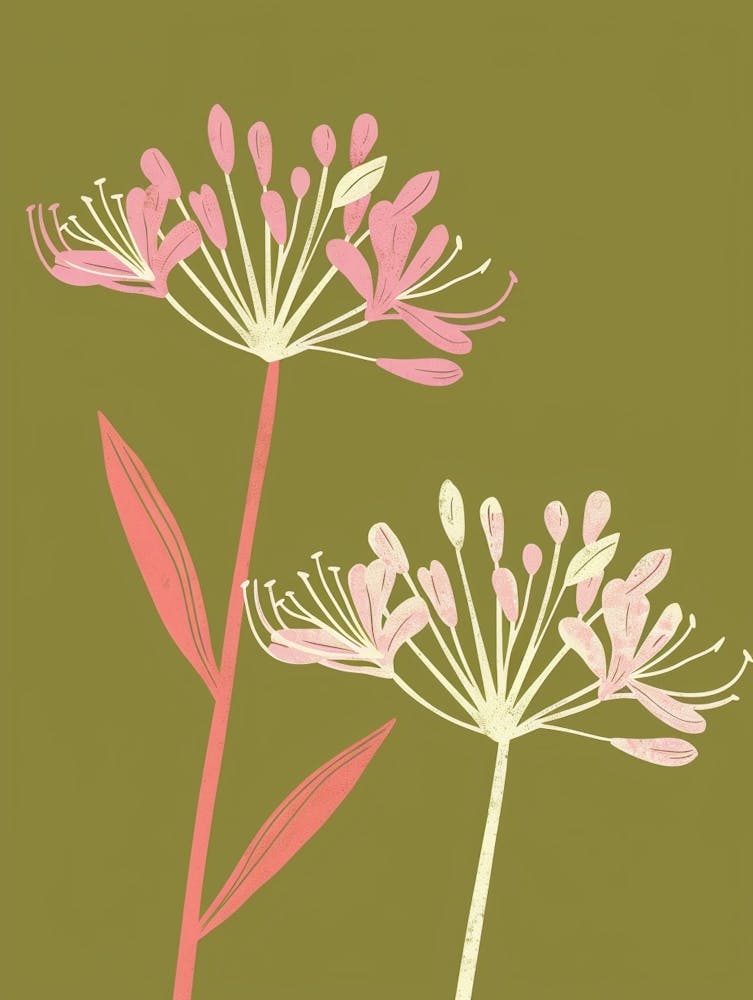 Pink & Green Agapanthus 1