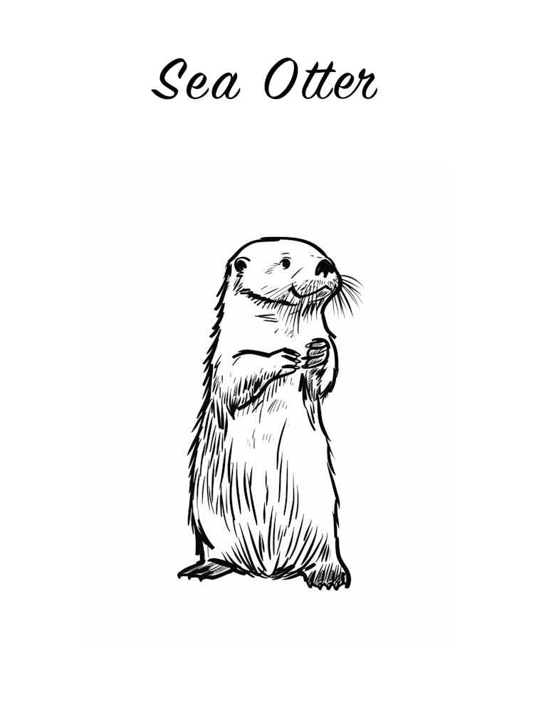 B&W Sea Otter Poster
