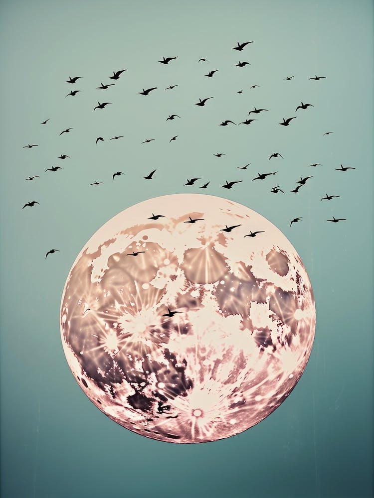 Full Moon With Birds 1
