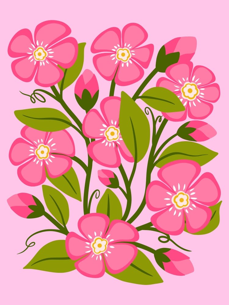 Pink Flowers
