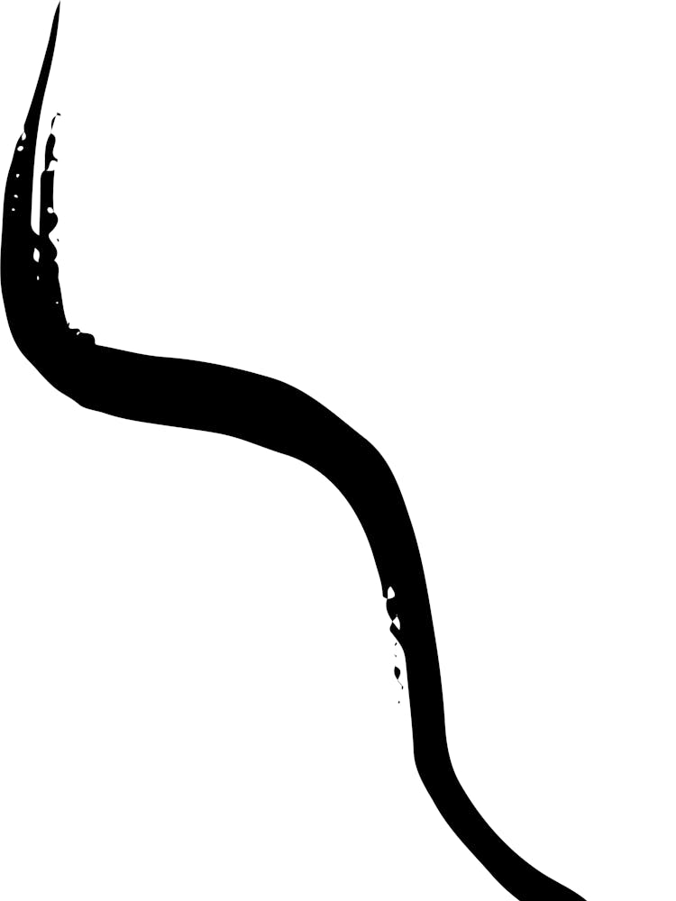 Snake Slithering