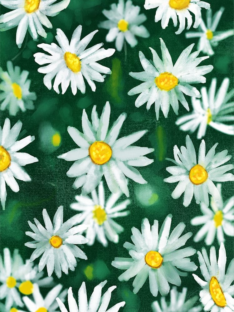 White Daisy Flower Gouache Pattern
