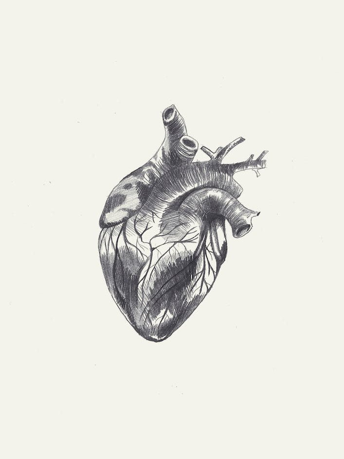 Heart Illustration