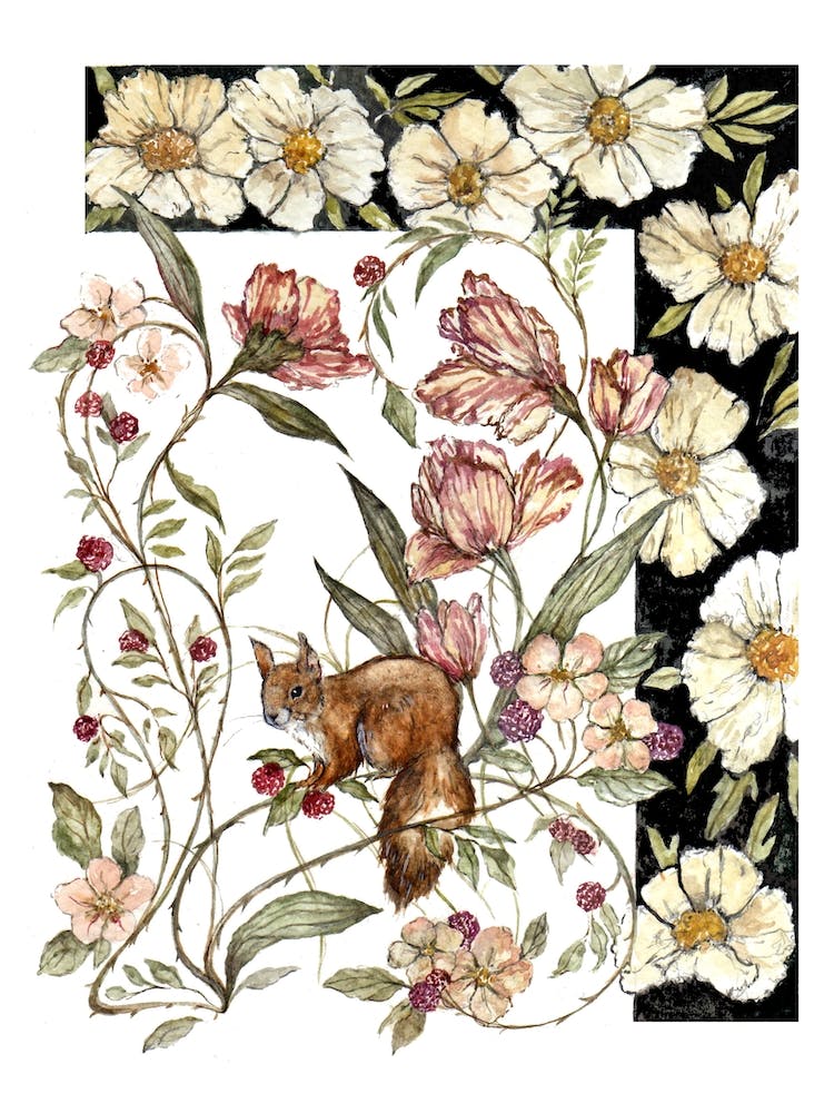 Blushing Squirrel