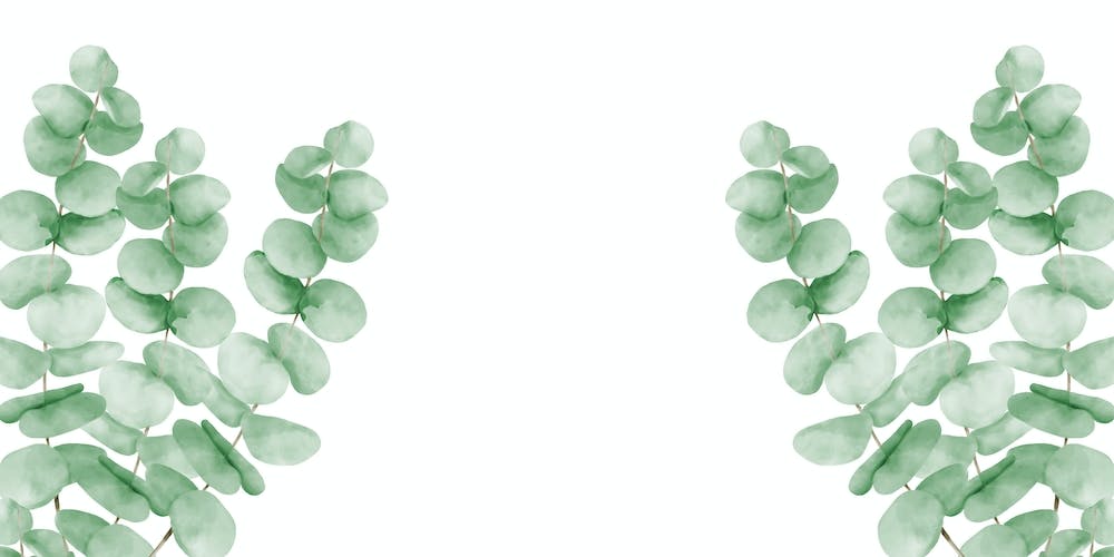 Watercolor Eucalyptus Leaves
