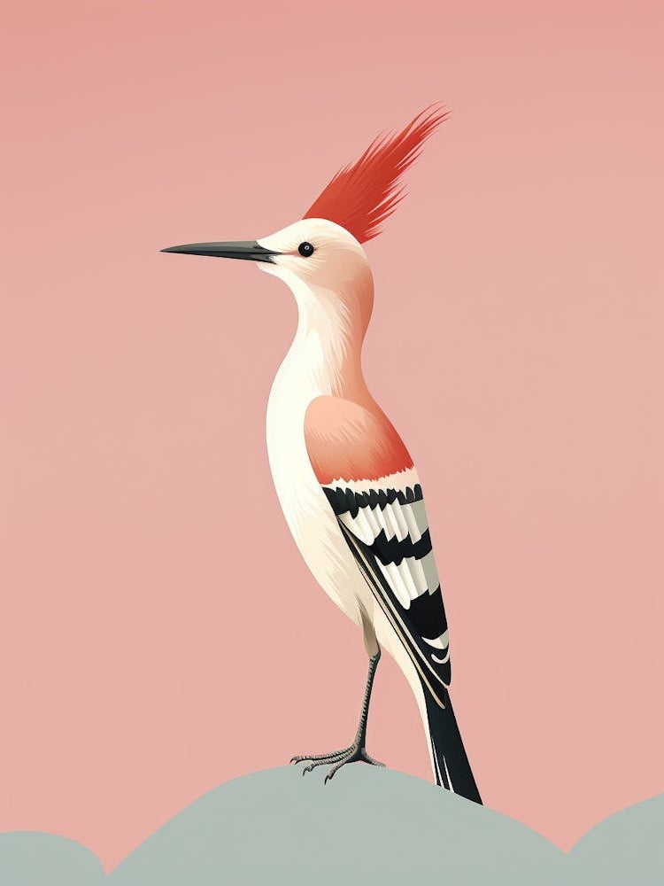 Minimalist Hoopoe 3 Illustration
