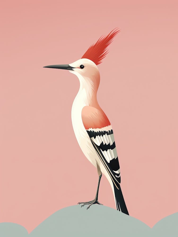 Minimalist Hoopoe 3 Illustration