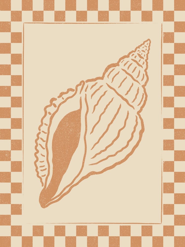 Seashell 05 with Checkered Border