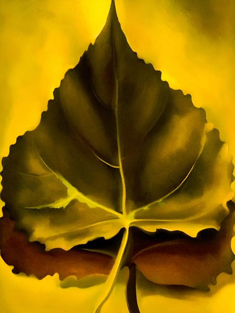 Georgia O'Keeffe - Grey and Brown Leaves, 1929
