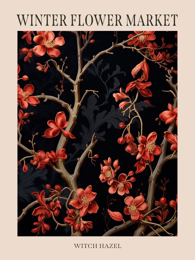 Witch Hazel 2 Winter Flower Market Poster