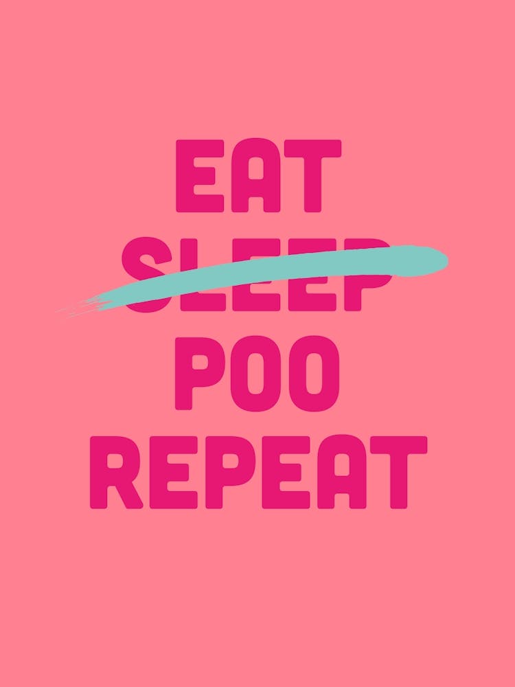 Fun Eat Sleep Poo Repeat Pink