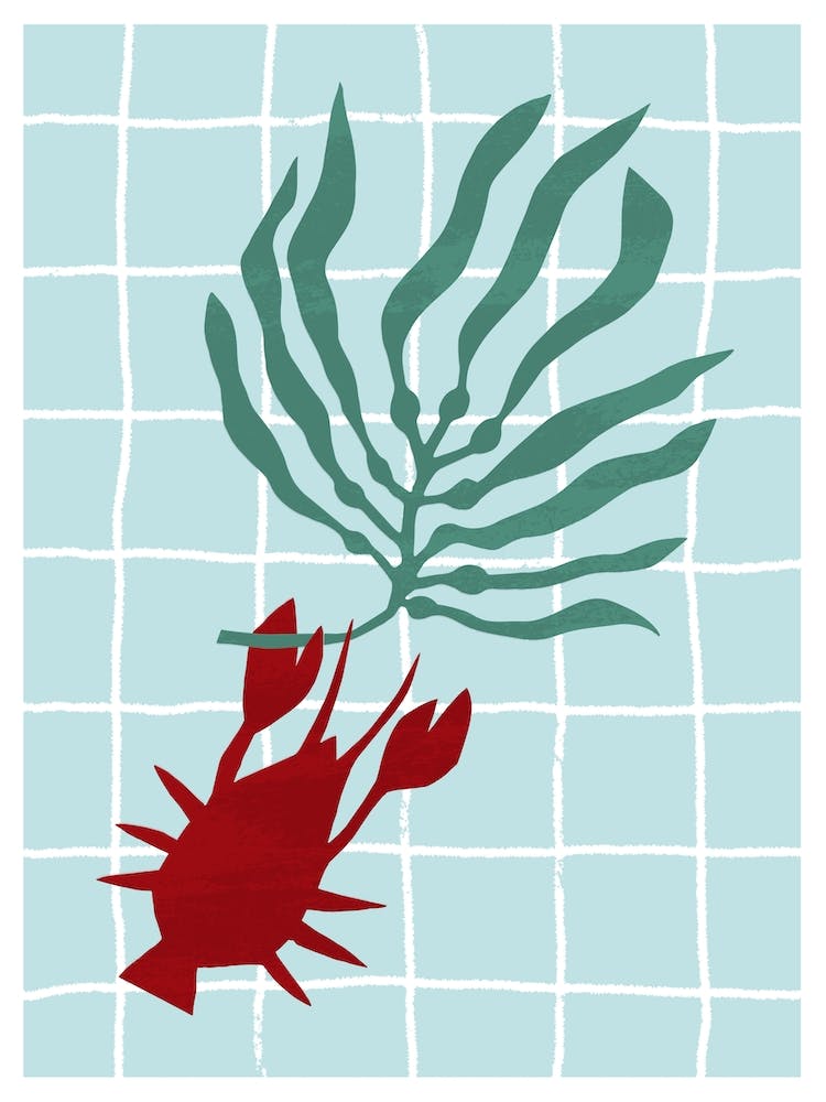 Lone Lobster