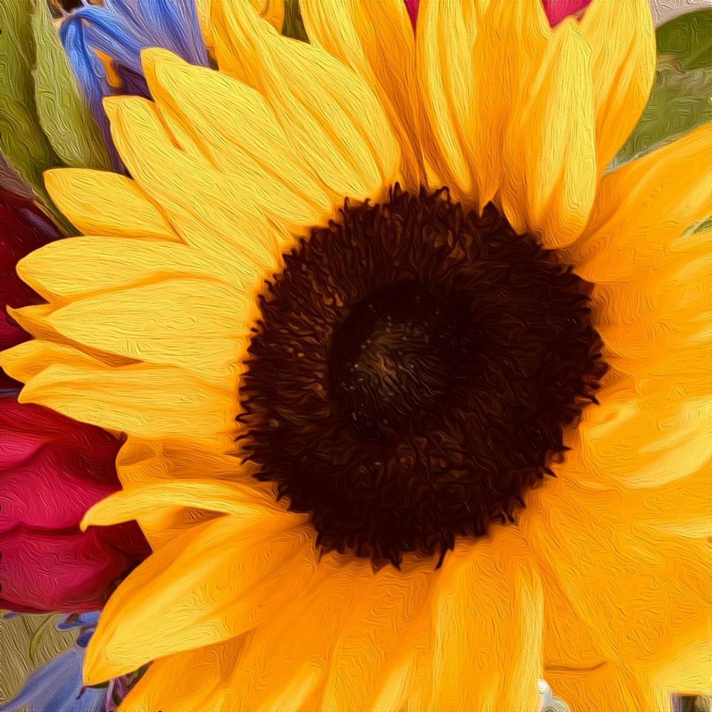 Sunflower In Oil Square