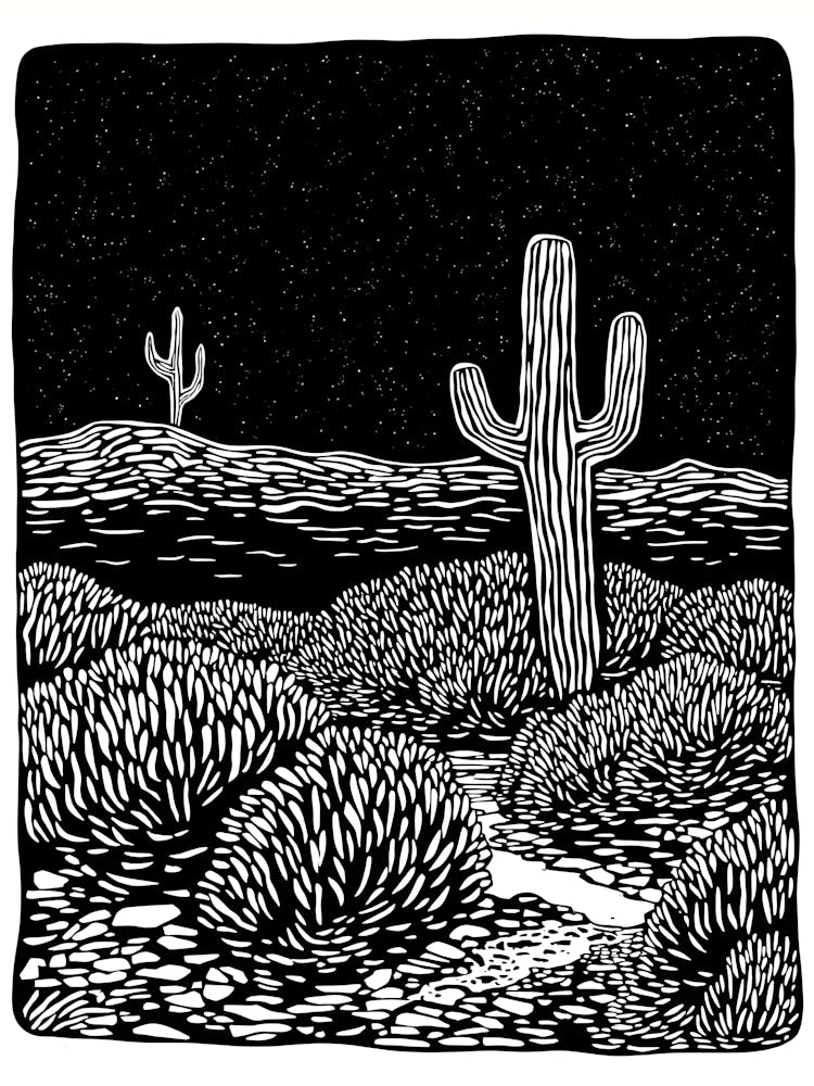 Cactus In The Desert