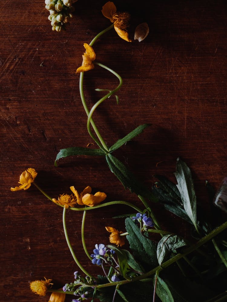 Yellow Flowers