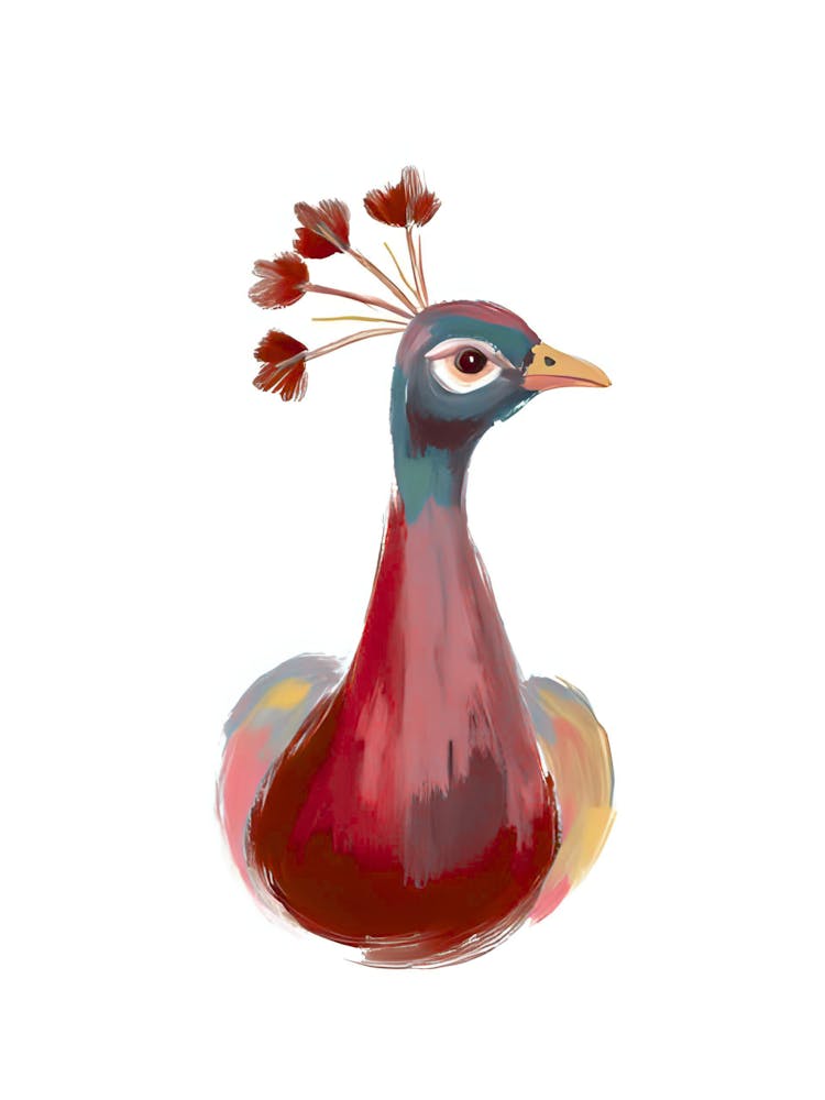Peacock 22
