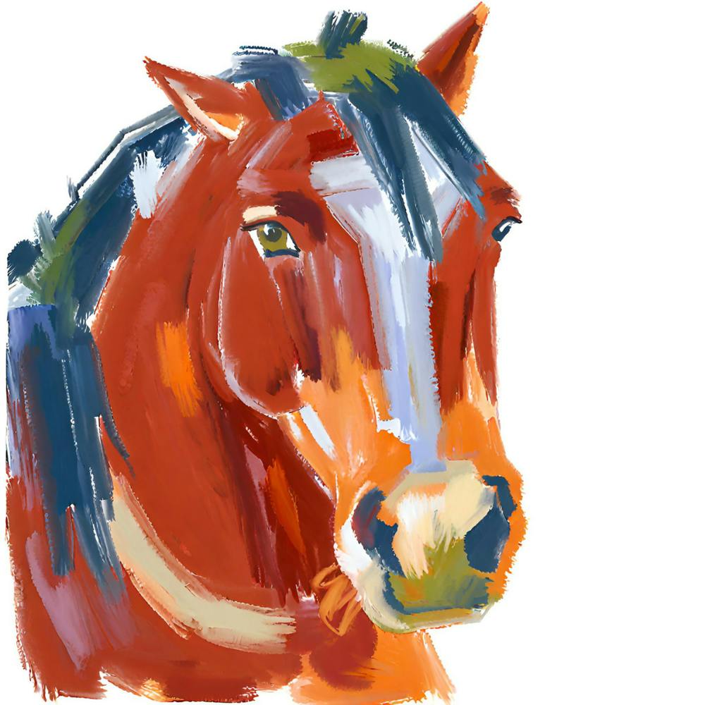 Clydesdale Horse 04