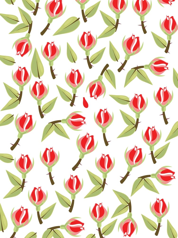 Roses pattern