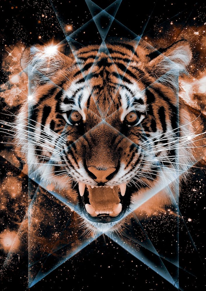 Tigris