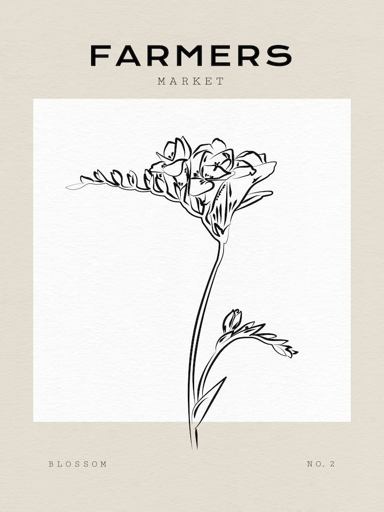 Boho Bohemian 9 Gladiolus