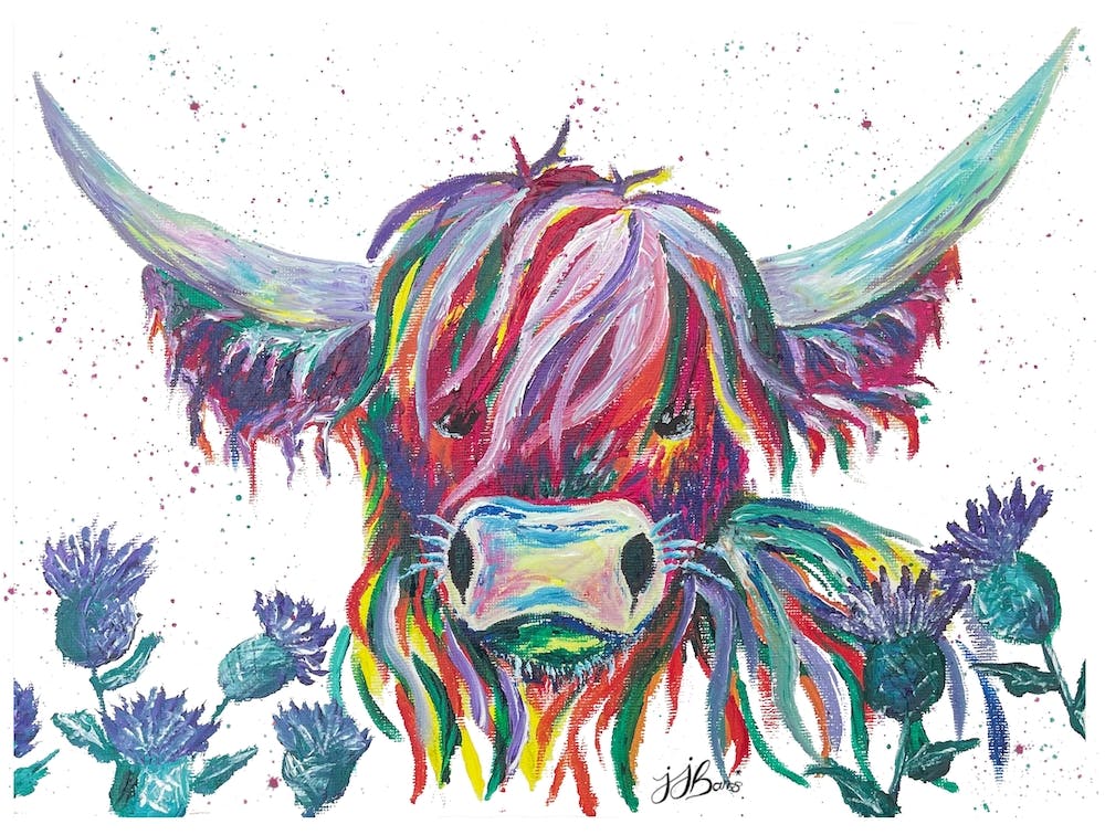 Colourful Highland Cow