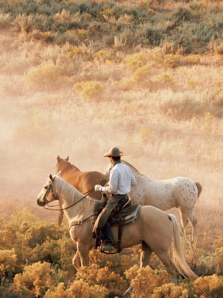 Cowboy On Horseback