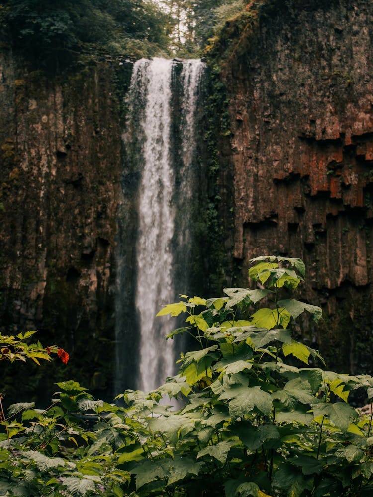 Abiqua Falls