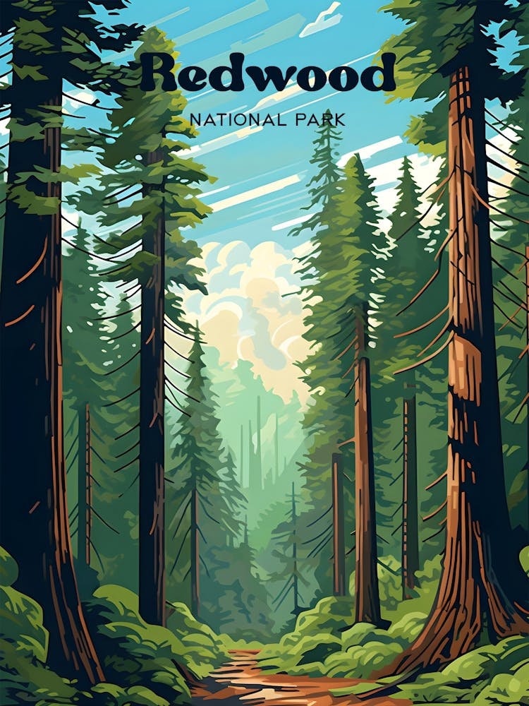 Redwood National Park California Nature Travel Art Illustration