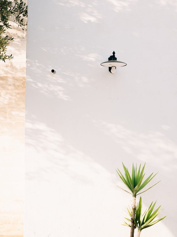 Vert sur Blanc