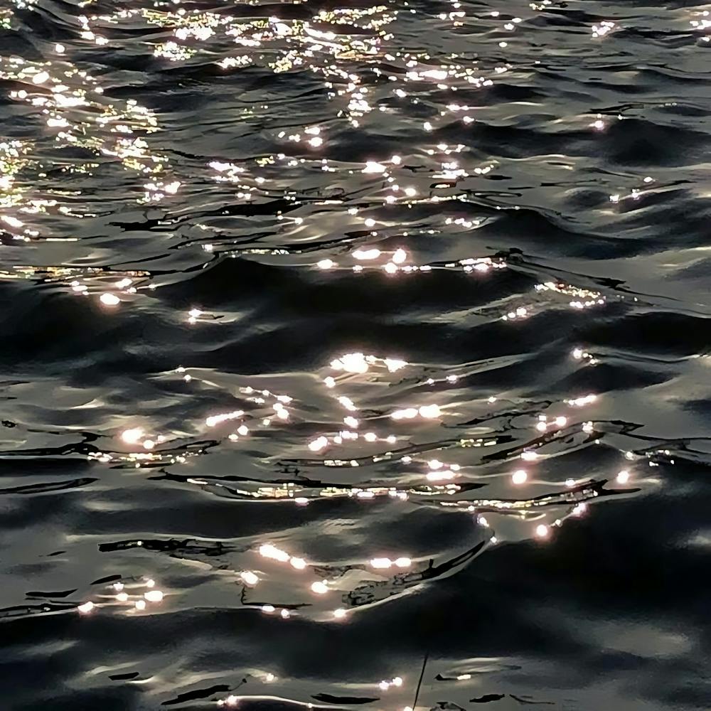 Reflection In The Water