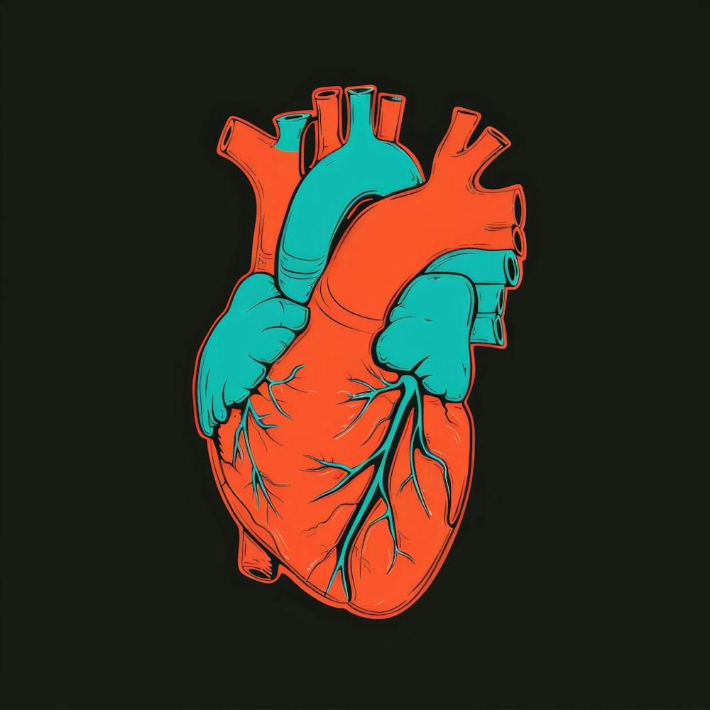 Heart 3