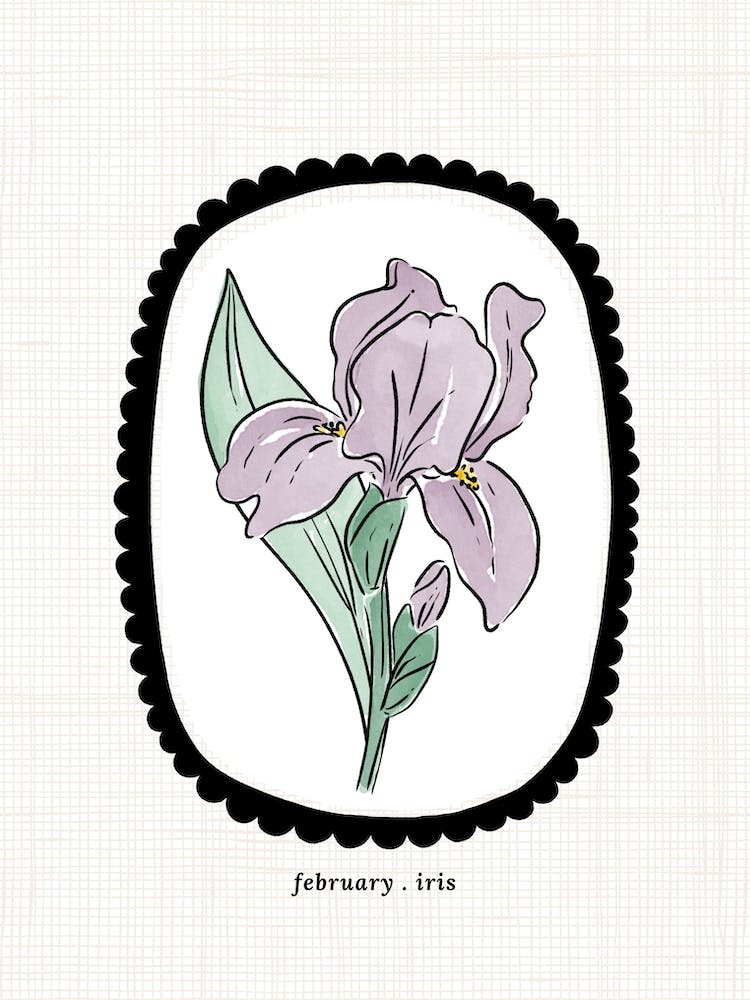 February Iris Birth Flower