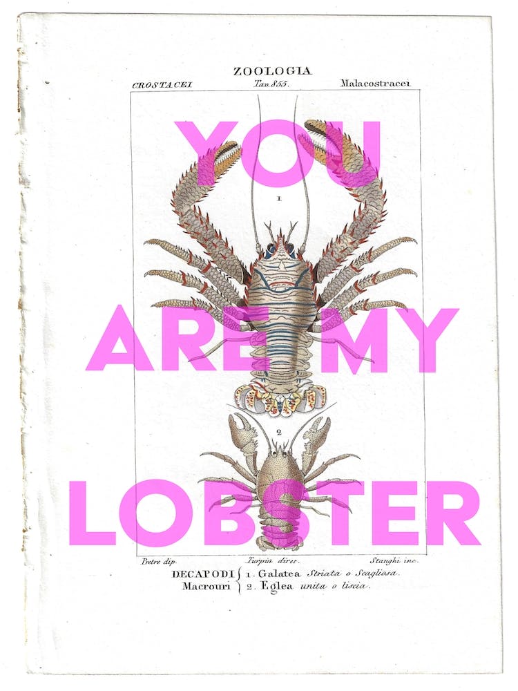 You Are My Lobster Vintage