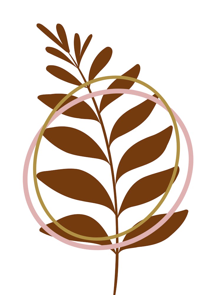 Tree Of Life