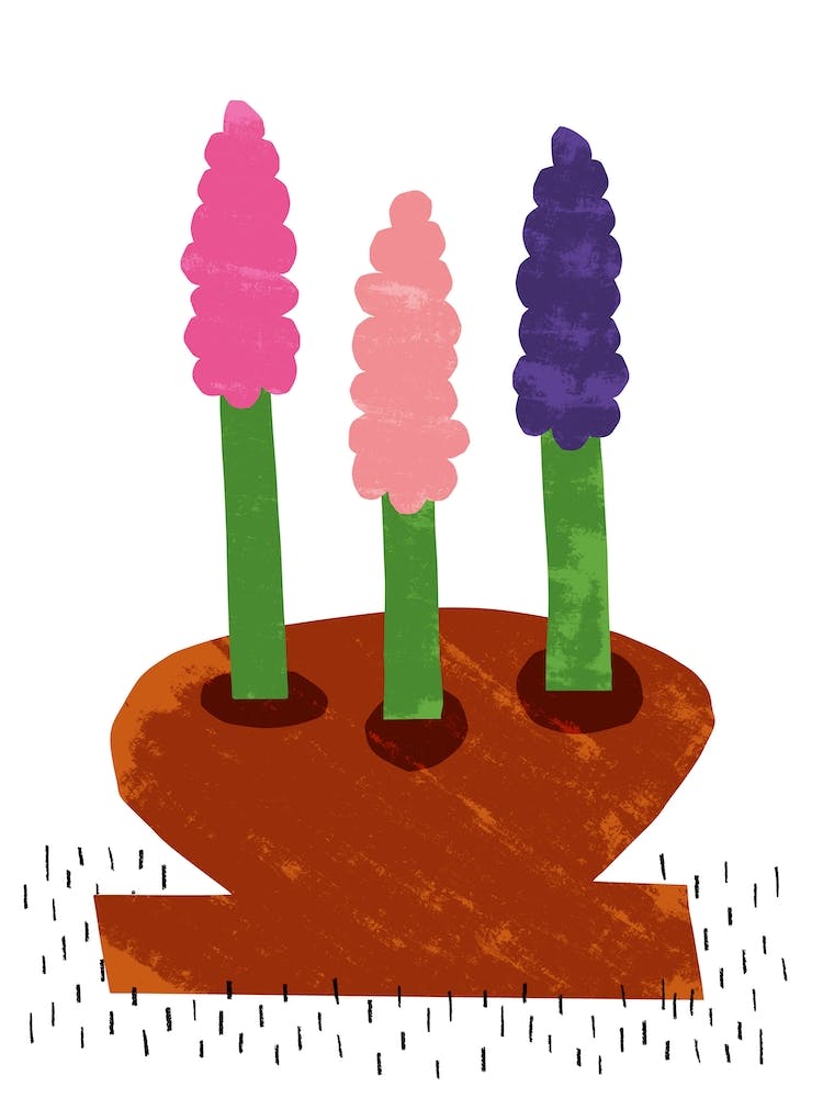 Happy Hyacinths