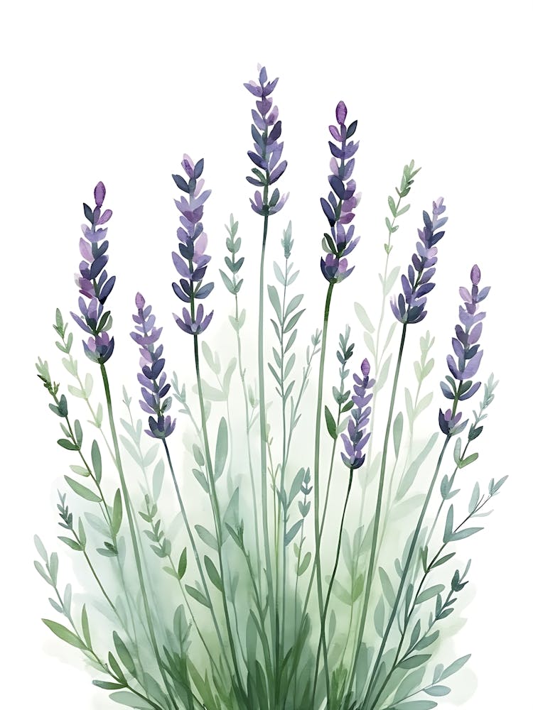 Soft Botanical Stems in Sage