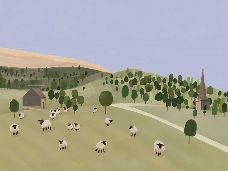 Sheep On A Farm