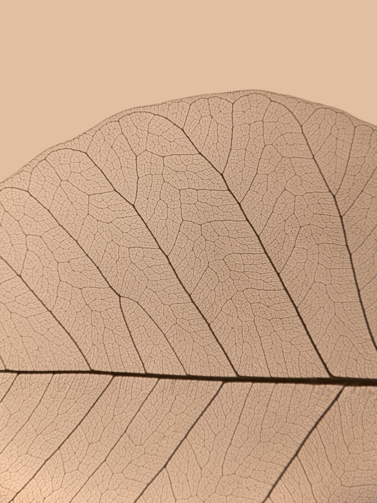 Veins Of Life 3 Champagner Hues