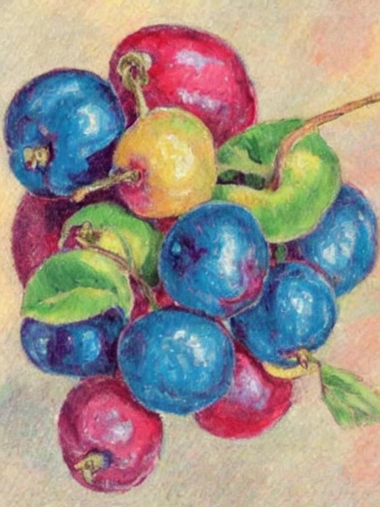 Barbados Cherry Vintage Sketch Fruit