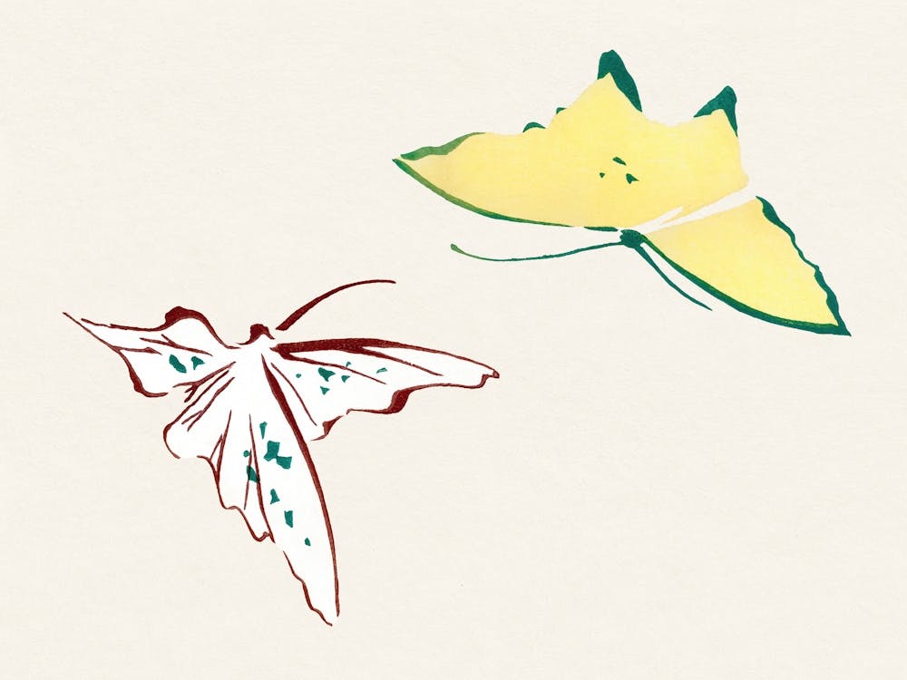 Abstract Butterfly, Cho Senshu